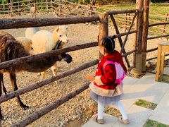 -泉州海丝野生动物世界