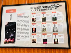 -巴厘岛黄金金兔咖啡工厂