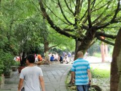 -成都市活水公园