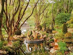 -上海共青森林公园