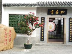 -广州神农草堂中医药博物馆