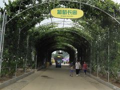 -北戴河集发农业梦想王国