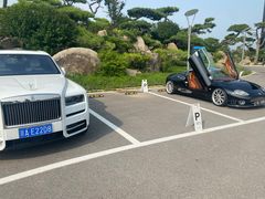 -罗红摄影艺术馆