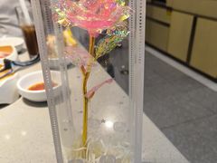 -海底捞火锅(万象汇店)