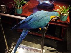 那家小馆(中关村店)-那家小馆•北京菜•烤鸭(中关村店)