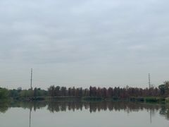 -九科绿洲