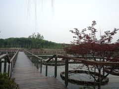 -昆山城市生态森林公园