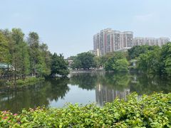 -荔湾湖公园