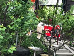 -西湖外事游船(花港观鱼码头)