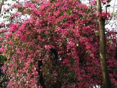 -深圳海景嘉途酒店(东翼楼)