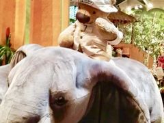 -济州岛泰迪熊博物馆