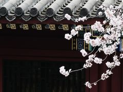 -北海公园
