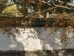 -秋霞圃