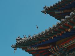 -大召寺明清一条街