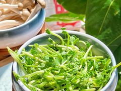 -烹然四季椰子鸡火锅(团结湖总店)