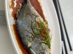 -日日香卤鹅饭店·澄海狮头鹅(澄海店)