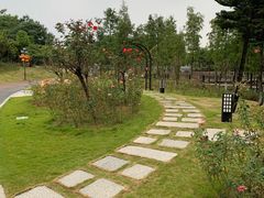 -映月湖公园