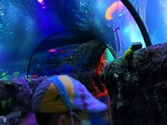 -沈阳海洋探索中心