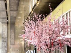 -金轩中餐厅 Jin Xuan(浦东丽思卡尔顿酒店)