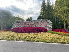 -东平国家森林公园