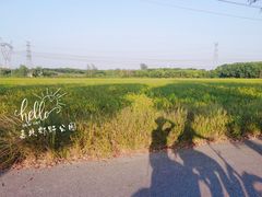 -嘉北郊野公园