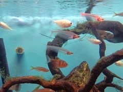 -多彩贵州城极地海洋世界