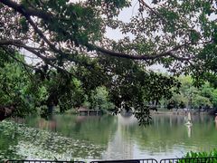 -荔湾湖公园