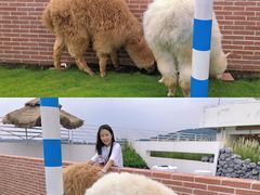-Blue Concept Cafe&Farm·關於藍