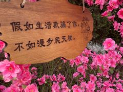 -北京凤凰岭