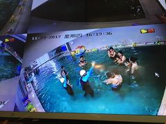 -BlueBubble蓝泡泡婴幼儿游泳会所(合川路店)
