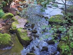 -汤旺河林海奇石景区