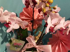 -盒马鲜生(悠方店)