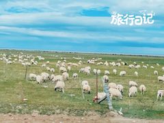 -青海湖国家重点风景名胜区