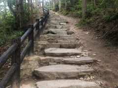 -冶父山国家森林公园