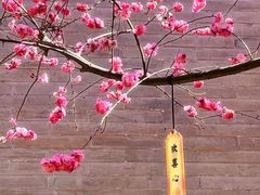 -大雁塔北广场音乐喷泉