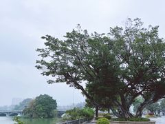 -星湖旅游景区七星岩