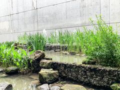 -中国湿地博物馆