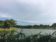 -东莞植物园