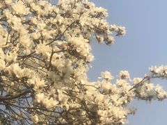 -九点小吃·安吉特色