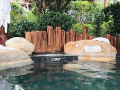 -威海天沐度假区温泉