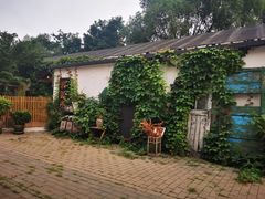 -可可露咖啡店(大东店)