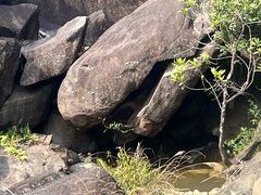 -广州白江湖森林公园