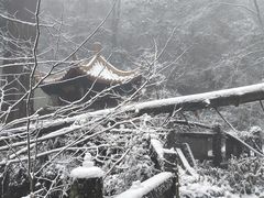 -东天目山风景区