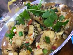 -全乐鱼馆·淳牌有机鱼直营店