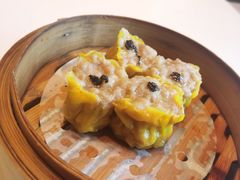 羊肉干蒸-新兴·金羊座·粤菜点心(乐峰店)