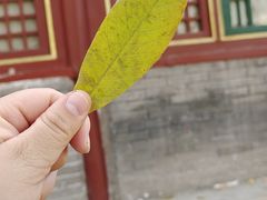 -潭柘寺景区