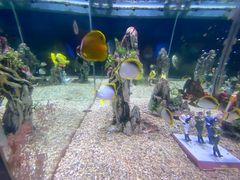 -烟台海昌鲸鲨海洋公园