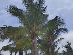 -三亚西岛海洋文化旅游区