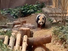 -杭州动物园
