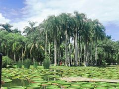 -中国科学院西双版纳热带植物园